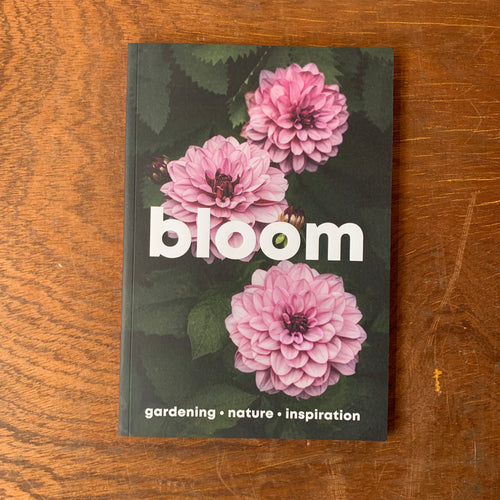 Bloom Issue 16