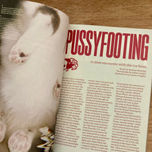 Catnip Issue 2