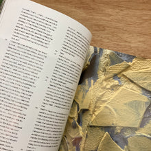 Middle Plane Issue 11