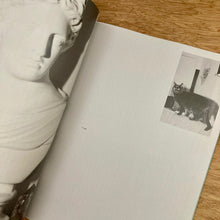Endless Issue IV