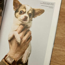 Monocle Issue 193