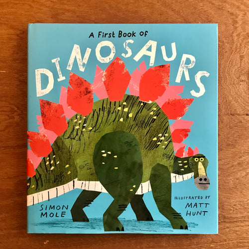 A First Book Of Dinosaurs