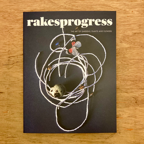 Rakes Progress Issue 17