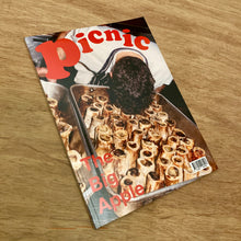 Picnic Issue 5