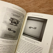 Commentary On The Oeuvre Of Approximations To The Object