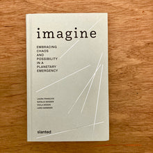 Imagine - Embracing Chaos And Possibility In A Planetary Emergency
