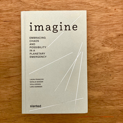 Imagine - Embracing Chaos And Possibility In A Planetary Emergency