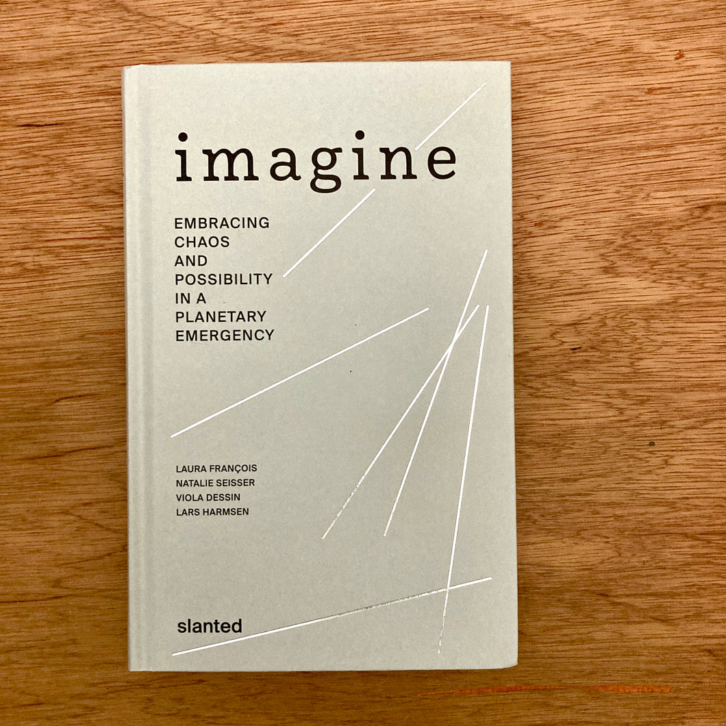 Imagine - Embracing Chaos And Possibility In A Planetary Emergency