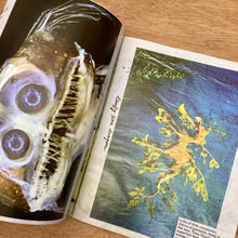 Adbusters Issue 186
