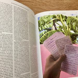 Anchoa Issue 5