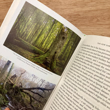 Ancient (Signed Copies)