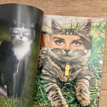 Catnip Issue 2