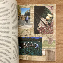 Disegno Issue 41