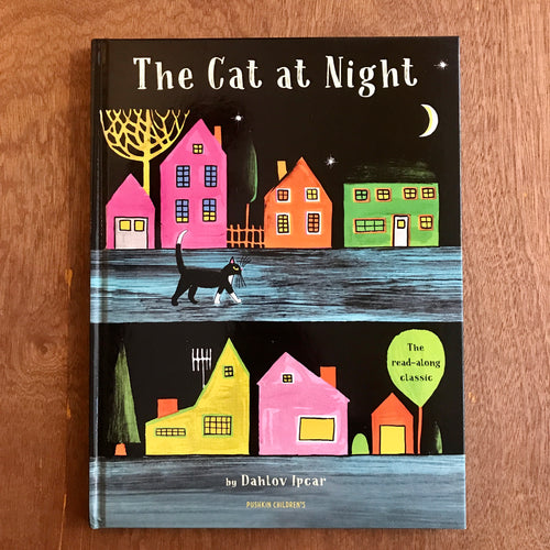 The Cat At Night