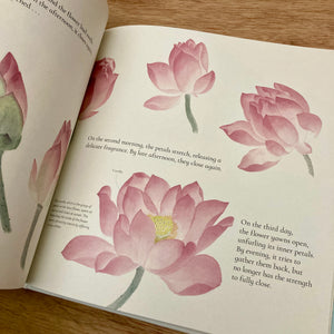 The Water Flower