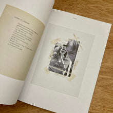 Pamplemousse Issue 13