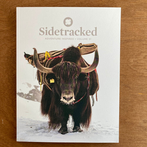 Sidetracked Issue 31