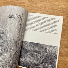 Garden Of Sorts Issue 01