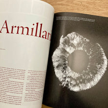 Pamplemousse Issue 12