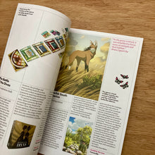 Senet Issue 20