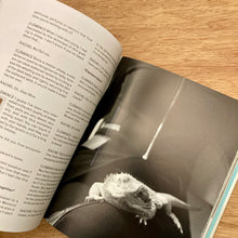 Marfa Issue 26 (Multiple Covers)