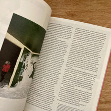 Disegno Issue 41