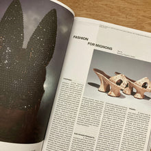 Carcy Issue 15