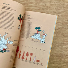 The Passenger - California