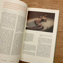 The Passenger - Ireland