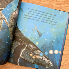 Whale Song