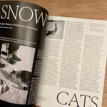 Catnip Issue 2
