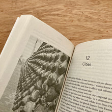 Clay: A Human History