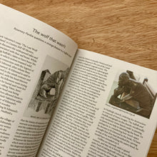 Northern Earth Issue 181
