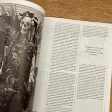 Frieze Issue 258