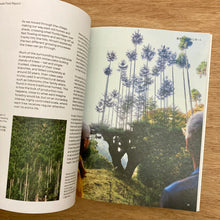 Niwaki Field Report Issue 1