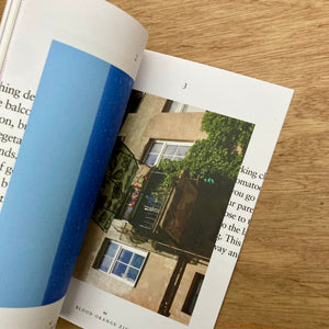 Blood Orange Zine Issue 5