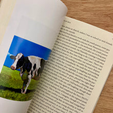 The Paris Review Issue 257