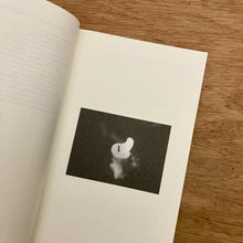Diary Of An Ending