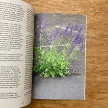 Garden Of Sorts Issue 01
