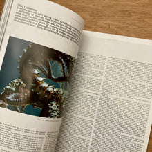Hero Issue 34