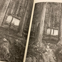 Things Become Other Things