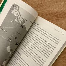Palestine - A Short History