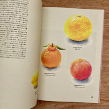 The New Japan Issue 2