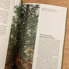 Meander Issue 3