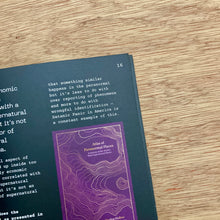 Dark Entries Issue 4