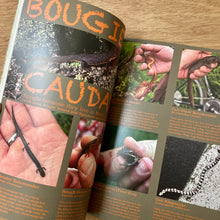 Calling In Sick Issue 17