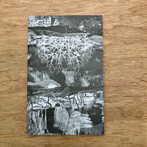 Becoming The Forest V