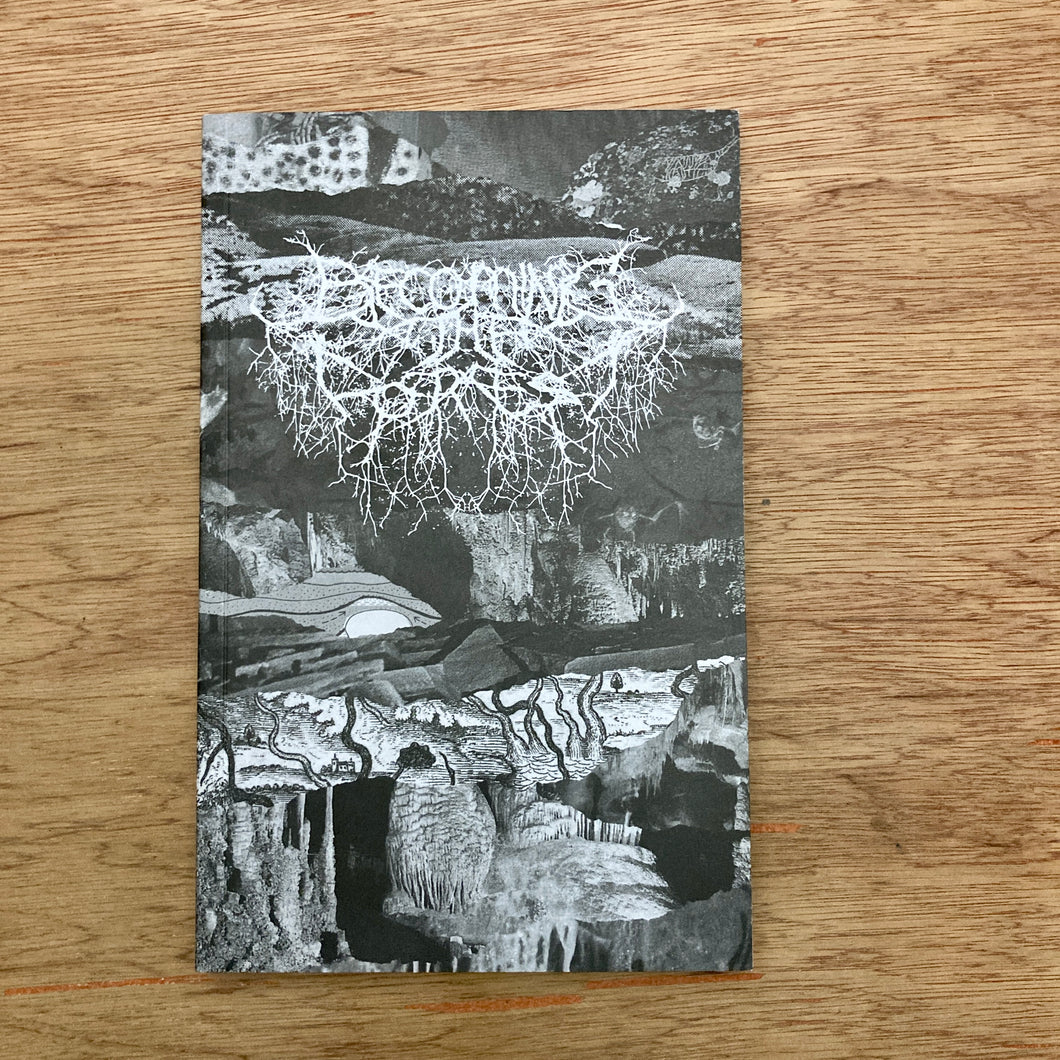 Becoming The Forest V