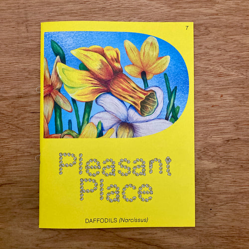 Pleasant Place Issue 7: Daffodils