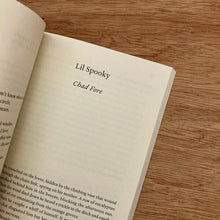 The Paris Review Issue 256